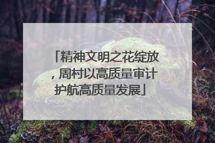 精神文明之花绽放，周村以高质量审计护航高质量发展
