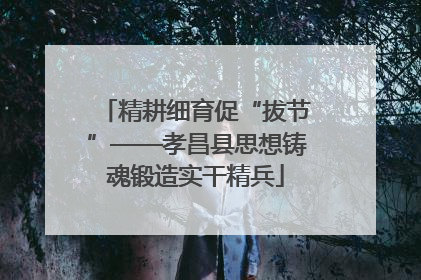 精耕细育促“拔节”——孝昌县思想铸魂锻造实干精兵