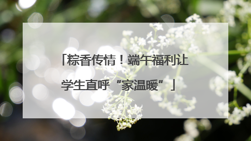 粽香传情！端午福利让学生直呼“家温暖”