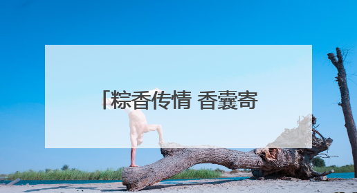 粽香传情 香囊寄意——驻马店市台办举办“喜迎双节 两岸联谊”活动