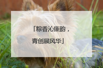 粽香沁廉韵，青创展风华