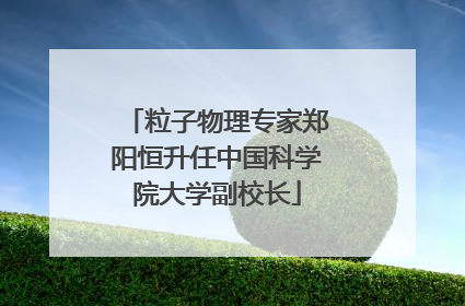 粒子物理专家郑阳恒升任中国科学院大学副校长