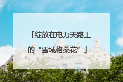 绽放在电力天路上的“雪域格桑花”
