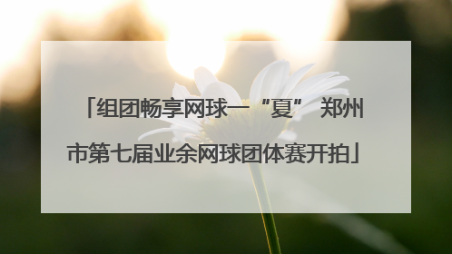 组团畅享网球一“夏” 郑州市第七届业余网球团体赛开拍