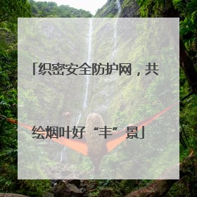 织密安全防护网，共绘烟叶好“丰”景