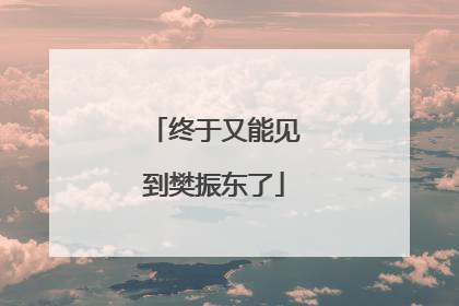 终于又能见到樊振东了