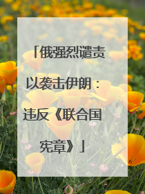 俄强烈谴责以袭击伊朗：违反《联合国宪章》