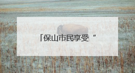 保山市民享受“一站式”国际购物与文化交流体验