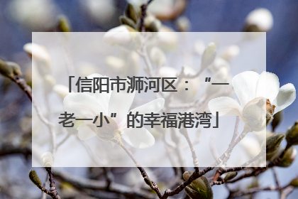 信阳市浉河区：“一老一小”的幸福港湾