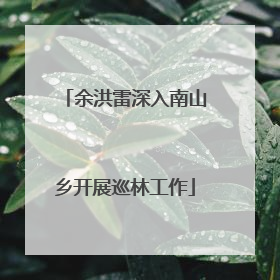 余洪雷深入南山乡开展巡林工作
