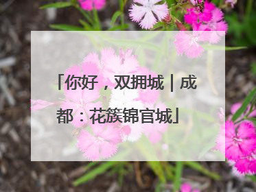 你好，双拥城｜成都：花簇锦官城