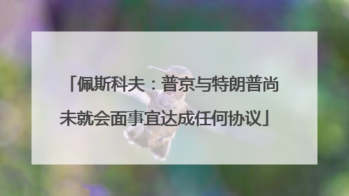 佩斯科夫：普京与特朗普尚未就会面事宜达成任何协议