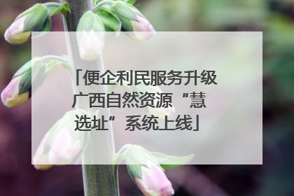 便企利民服务升级 广西自然资源“慧选址”系统上线