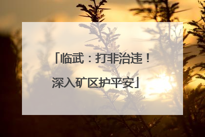 临武：打非治违！深入矿区护平安