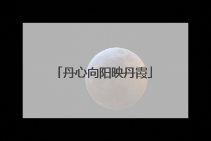 丹心向阳映丹霞