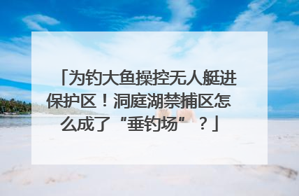 为钓大鱼操控无人艇进保护区！洞庭湖禁捕区怎么成了“垂钓场”？