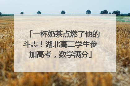 一杯奶茶点燃了他的斗志！湖北高二学生参加高考，数学满分