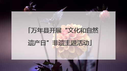 万年县开展“文化和自然遗产日”非遗主题活动