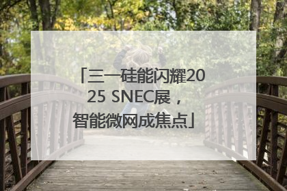 三一硅能闪耀2025 SNEC展，智能微网成焦点
