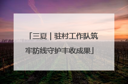 三夏｜驻村工作队筑牢防线守护丰收成果