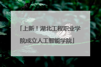 上新！湖北工程职业学院成立人工智能学院