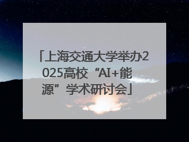 上海交通大学举办2025高校“AI+能源”学术研讨会