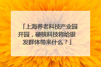 上海养老科技产业园开园，硬核科技将给银发群体带来什么？