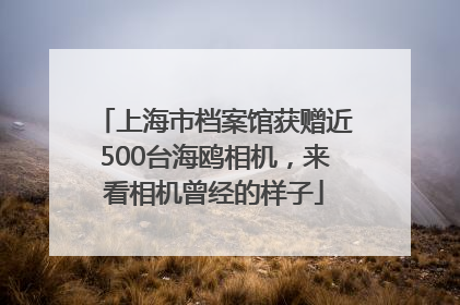 上海市档案馆获赠近500台海鸥相机，来看相机曾经的样子