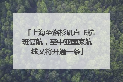 上海至洛杉矶直飞航班复航，至中亚国家航线又将开通一条