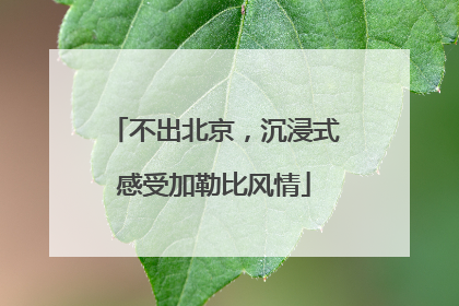 不出北京，沉浸式感受加勒比风情