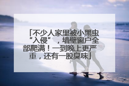 不少人家里被小黑虫“入侵”，墙壁窗户全部爬满！一到晚上更严重，还有一股臭味