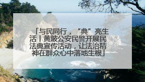 与民同行，“典”亮生活丨黄陂公安民警开展民法典宣传活动，让法治精神在群众心中落地生根
