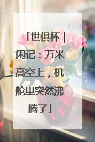 世俱杯｜闲记：万米高空上，机舱里突然沸腾了