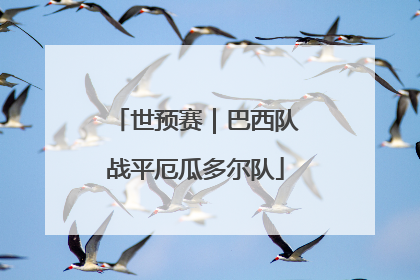 世预赛｜巴西队战平厄瓜多尔队
