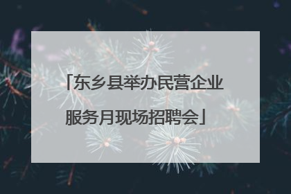 东乡县举办民营企业服务月现场招聘会