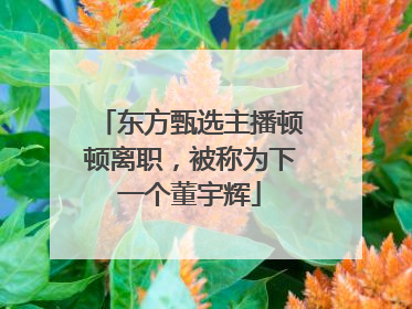东方甄选主播顿顿离职，被称为下一个董宇辉