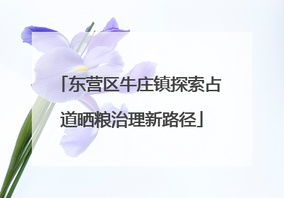 东营区牛庄镇探索占道晒粮治理新路径