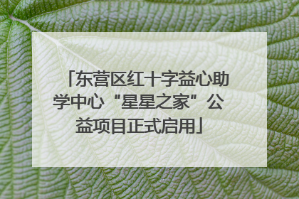 东营区红十字益心助学中心“星星之家”公益项目正式启用
