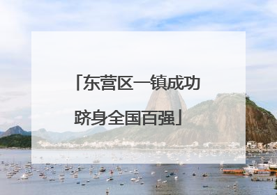 东营区一镇成功跻身全国百强