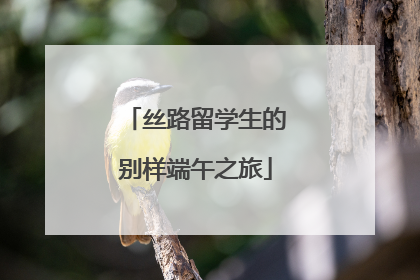 丝路留学生的别样端午之旅