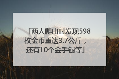 两人爬山时发现598枚金币重达3.7公斤，还有10个金手镯等