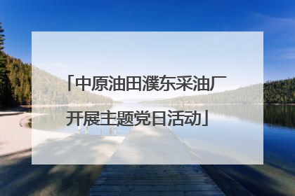 中原油田濮东采油厂开展主题党日活动