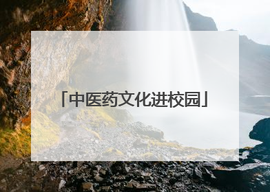 中医药文化进校园