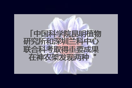 中国科学院昆明植物研究所和深圳兰科中心联合科考取得重要成果 在神农架发现两种“国保”级兰花
