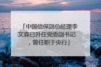 中国信保副总经理李文森已升任党委副书记，曾任职于央行
