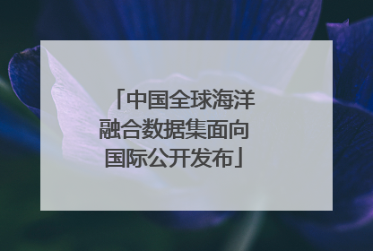 中国全球海洋融合数据集面向国际公开发布
