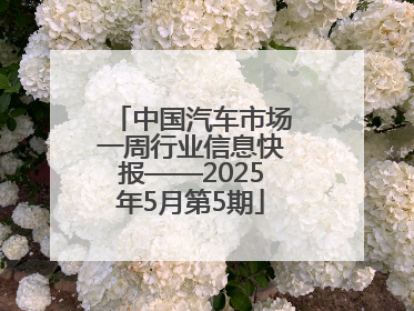 中国汽车市场一周行业信息快报——2025年5月第5期