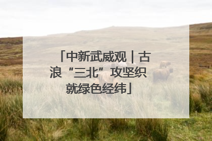 中新武威观｜古浪“三北”攻坚织就绿色经纬