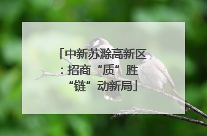 中新苏滁高新区：招商“质”胜 “链”动新局