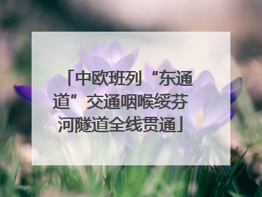 中欧班列“东通道”交通咽喉绥芬河隧道全线贯通